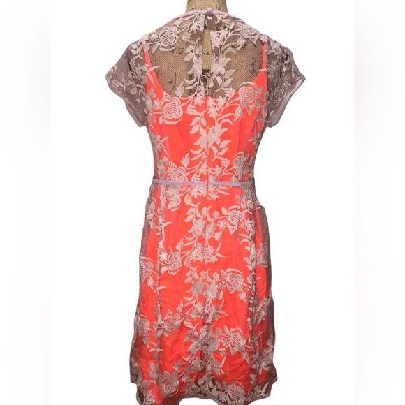 NWT Nanette Lepore Waldorf Girl Sheath Orange Crepe w/Lavender Lace Dress 10 - Picture 7 of 14